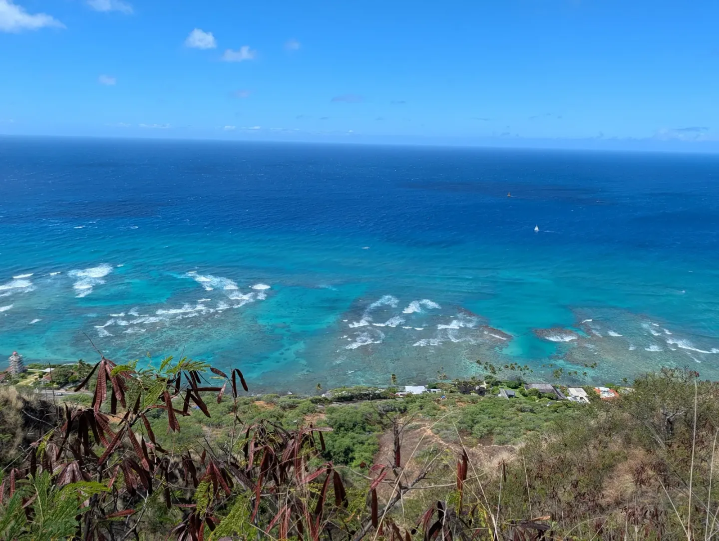 The view from the top of Diamond Head, looking down over turquoise reef and open ocean, with houses and palms along the shoreline below.
